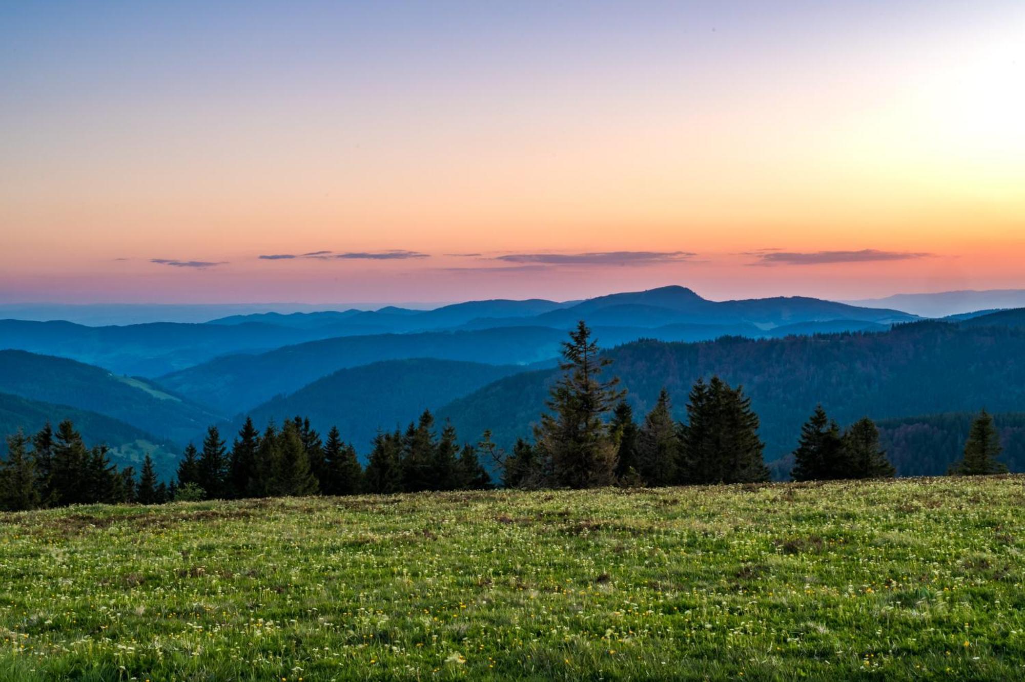 Residenz Grafenmatt "Abendsonne", Feldberg Apartamento Rinken Exterior foto